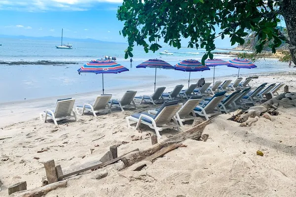 day trip to tortuga island